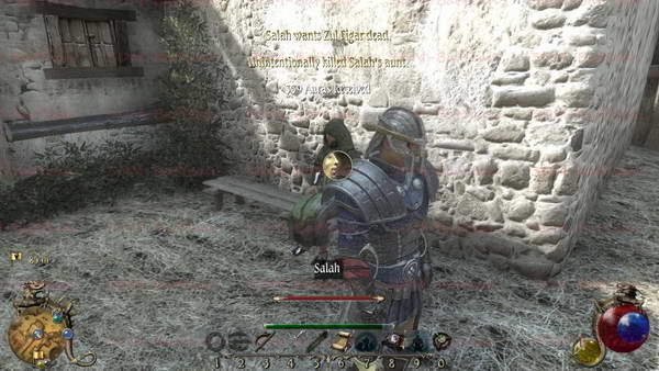 《两个世界2》图文攻略|Two Worlds 2