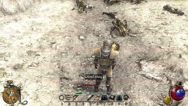 《两个世界2》图文攻略|Two Worlds 2