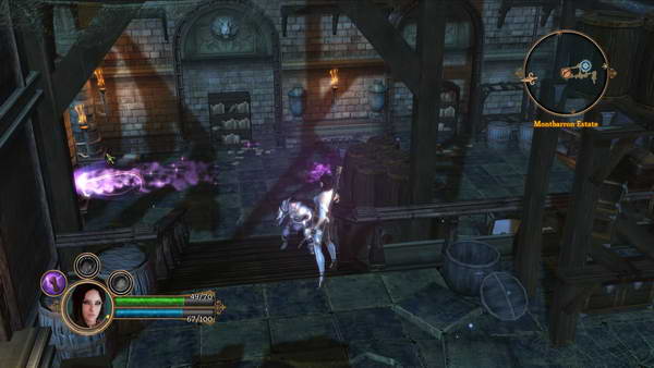 《地牢围攻3》图文攻略|Dungeon Siege 3