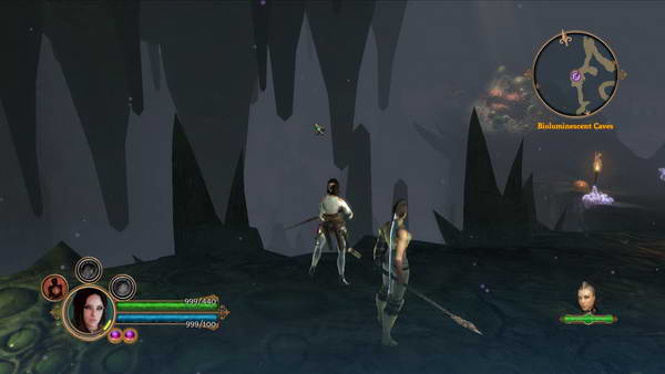 《地牢围攻3》图文攻略|Dungeon Siege 3