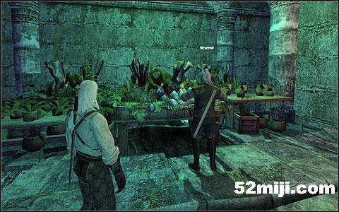 《巫师》(狩魔猎人)图文攻略|The Witcher